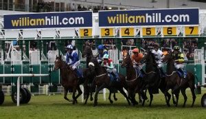 william hill affiliates|william hill horse racing today.